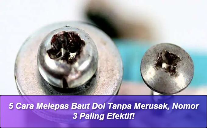 Cara Melepas Baut Dol Tanpa Merusak