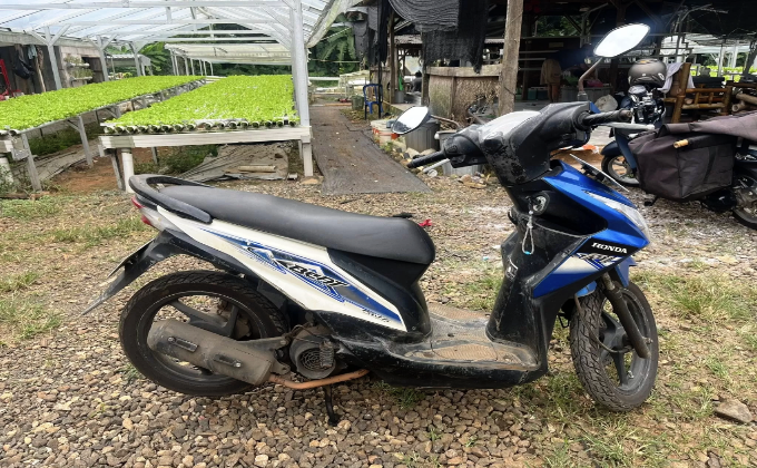 motor bekas harga stabil Honda Beat